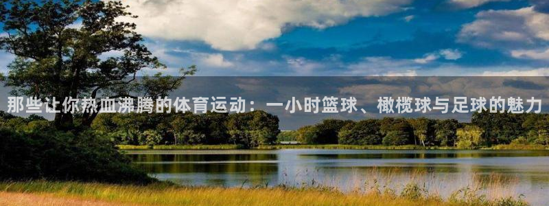 3377体育官方正版app开户:那些让你热血沸腾的体育运动: