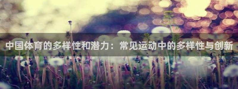 3377体育官方正版app集团E.ON:中国体育的多样性和潜