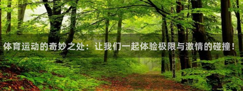 3377体育官方平台体育:体育运动的奇妙之处:让我们一起体验