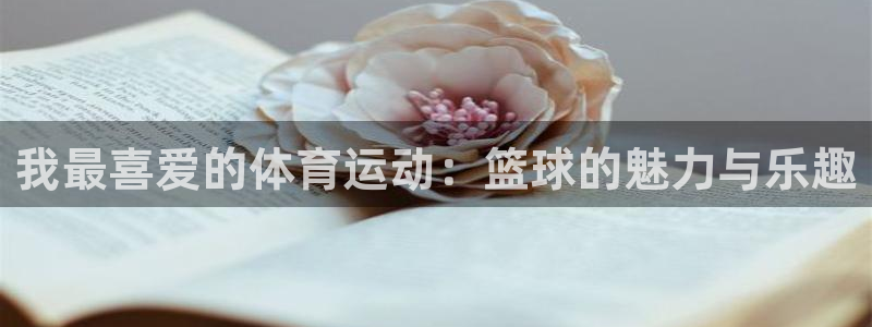 3377体育官网下载平台是正规平台吗安全吗:我最喜爱的体育运